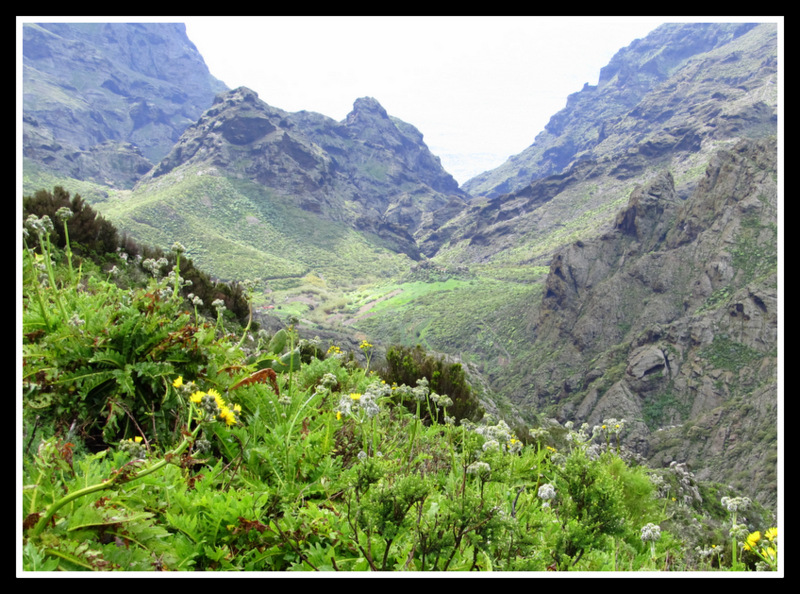 Unterwegs im Teide Gebirge