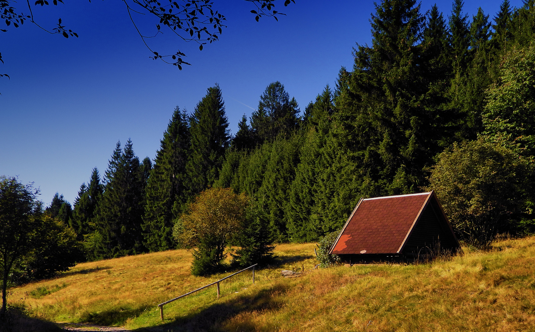 Unterwegs im Thüringer Wald