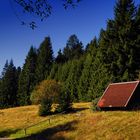 Unterwegs im Thüringer Wald