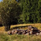 Unterwegs im Thüringer Wald  (ii)