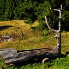 Unterwegs im Thüringer Wald (III)