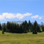 Unterwegs im Toggenburg  SG ...