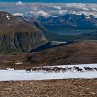 Unterwegs im Tromso Fjell oberhalb der Skarvassbu Hütte