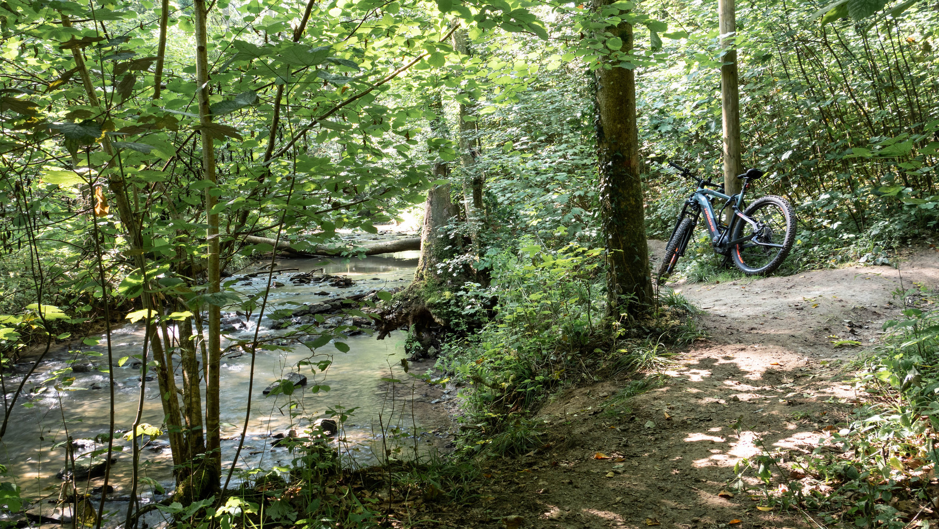 Unterwegs im Urwald Bad Rappenaus