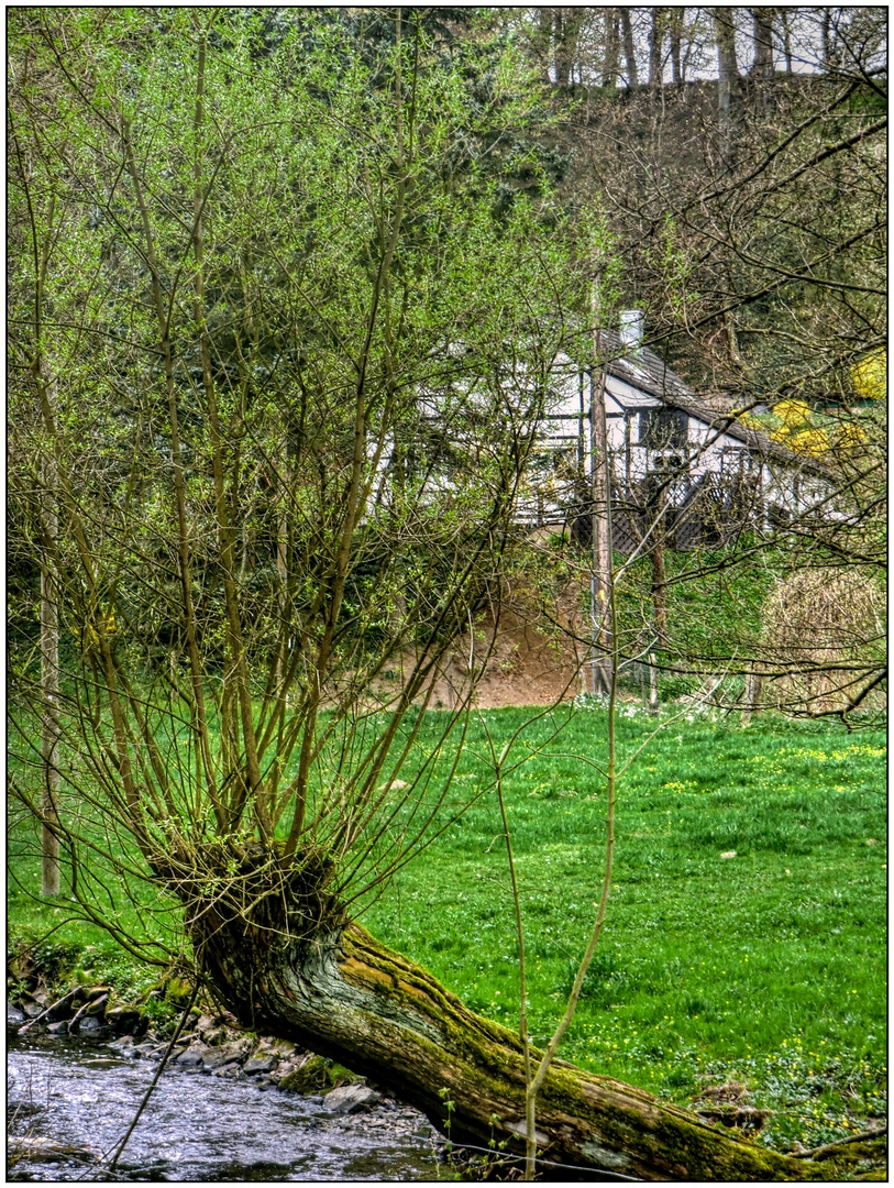 Unterwegs im Vogelsangbachtal 