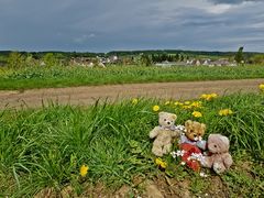 Unterwegs im Vogelsberg