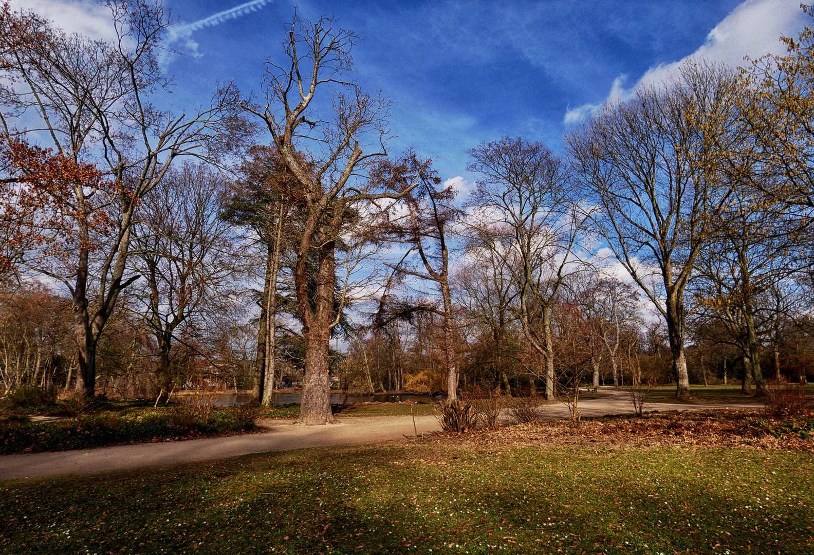 Unterwegs im Volksgarten