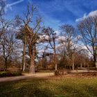 Unterwegs im Volksgarten