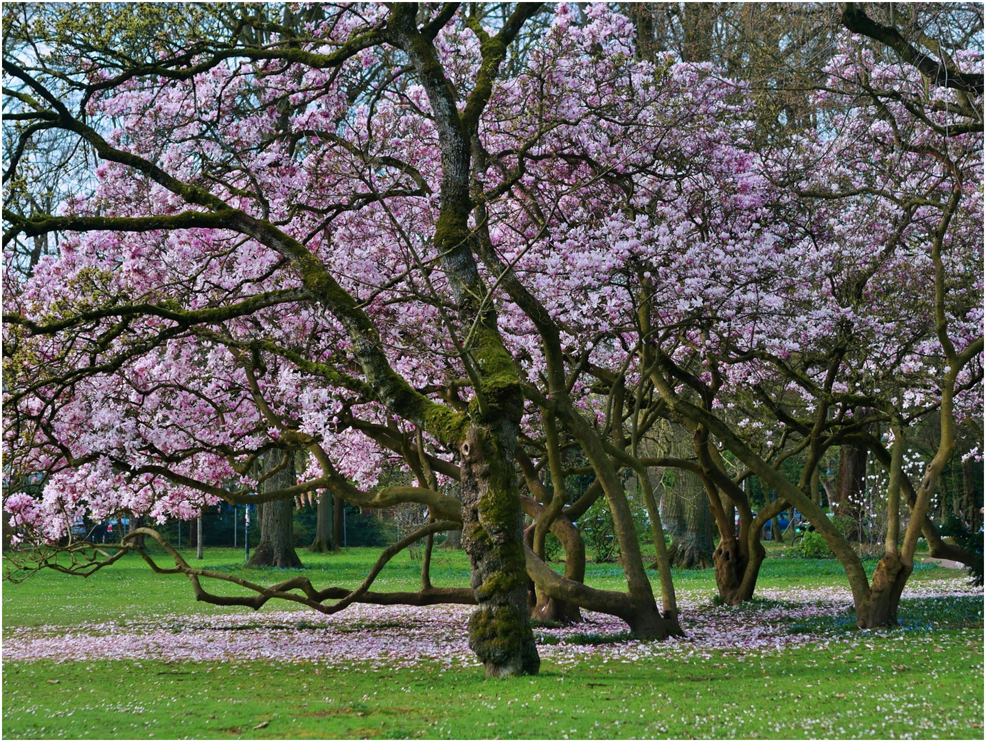 Unterwegs im Volksgarten Düsseldorf