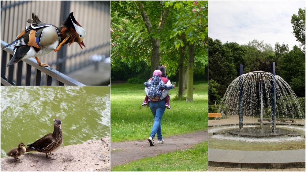 Unterwegs im Volkspark- Friedrichshain