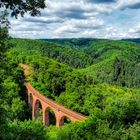 Unterwegs im Wald