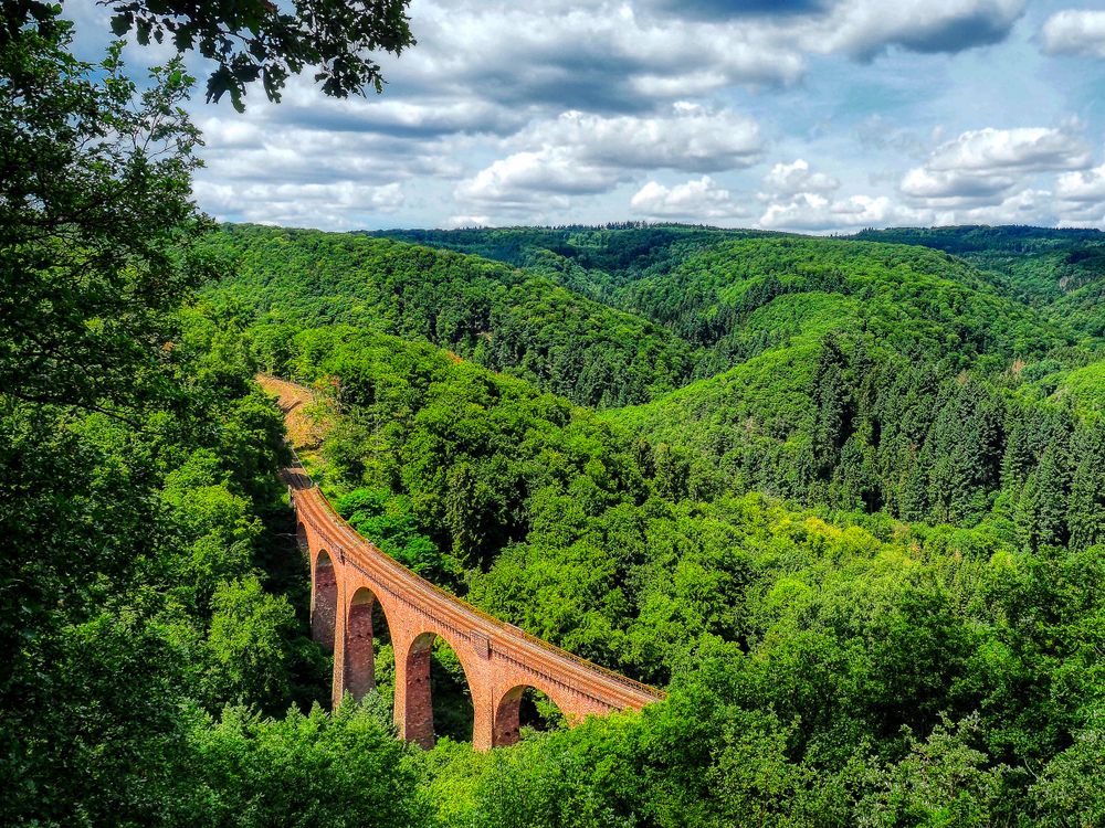 Unterwegs im Wald