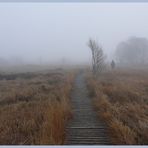 unterwegs im Wallonischen Venn