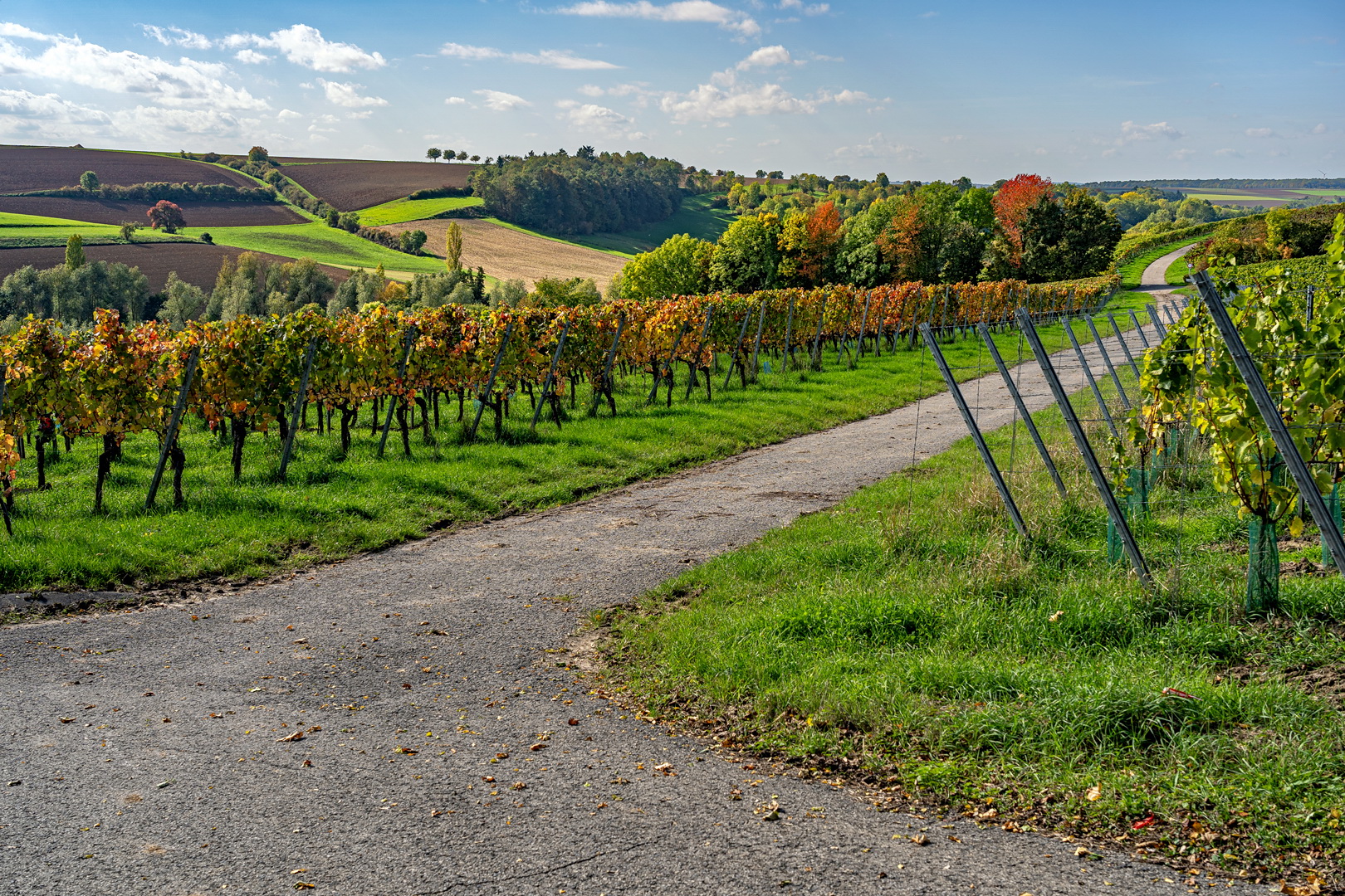 Unterwegs im Weinland