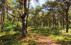 Unterwegs im Wernerwald