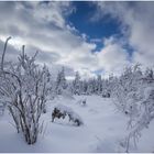 Unterwegs im Winter