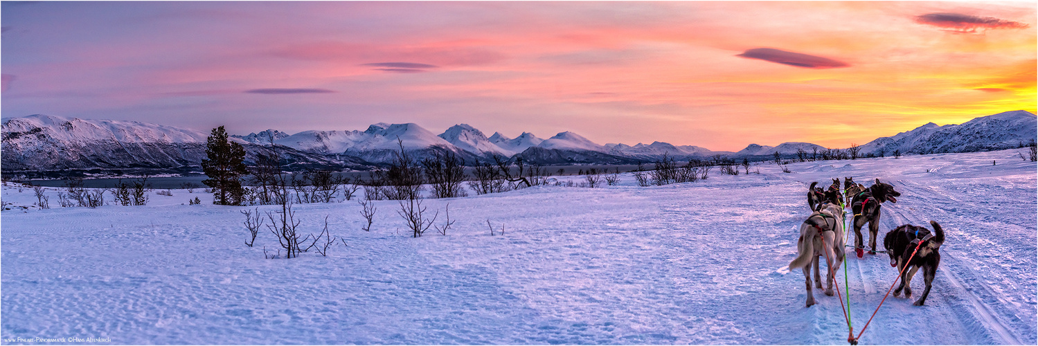 Unterwegs im Winter am Polarkreis