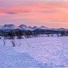 Unterwegs im Winter am Polarkreis