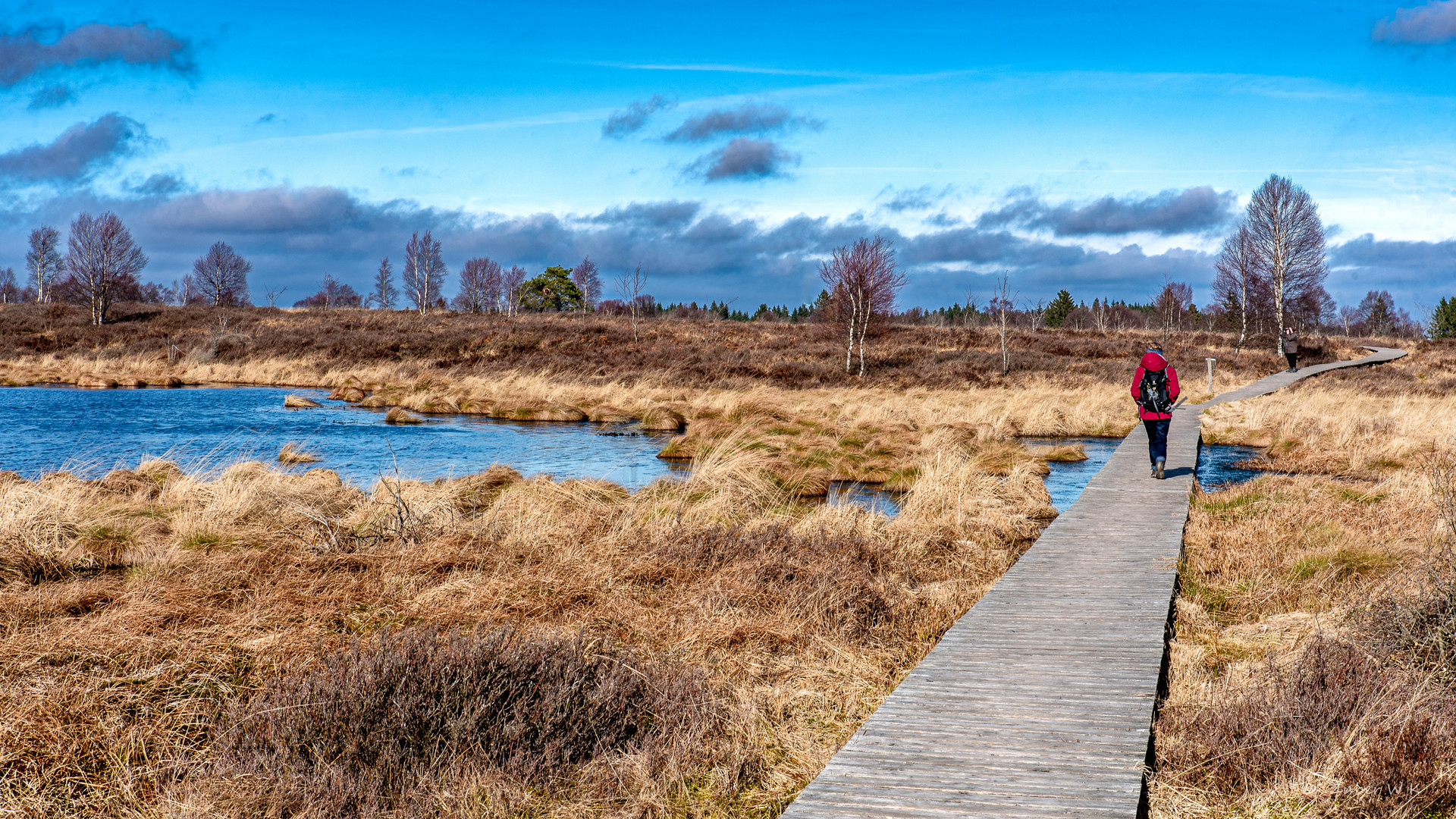 Unterwegs im winterlichen Hochmoor