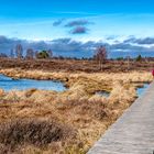 Unterwegs im winterlichen Hochmoor