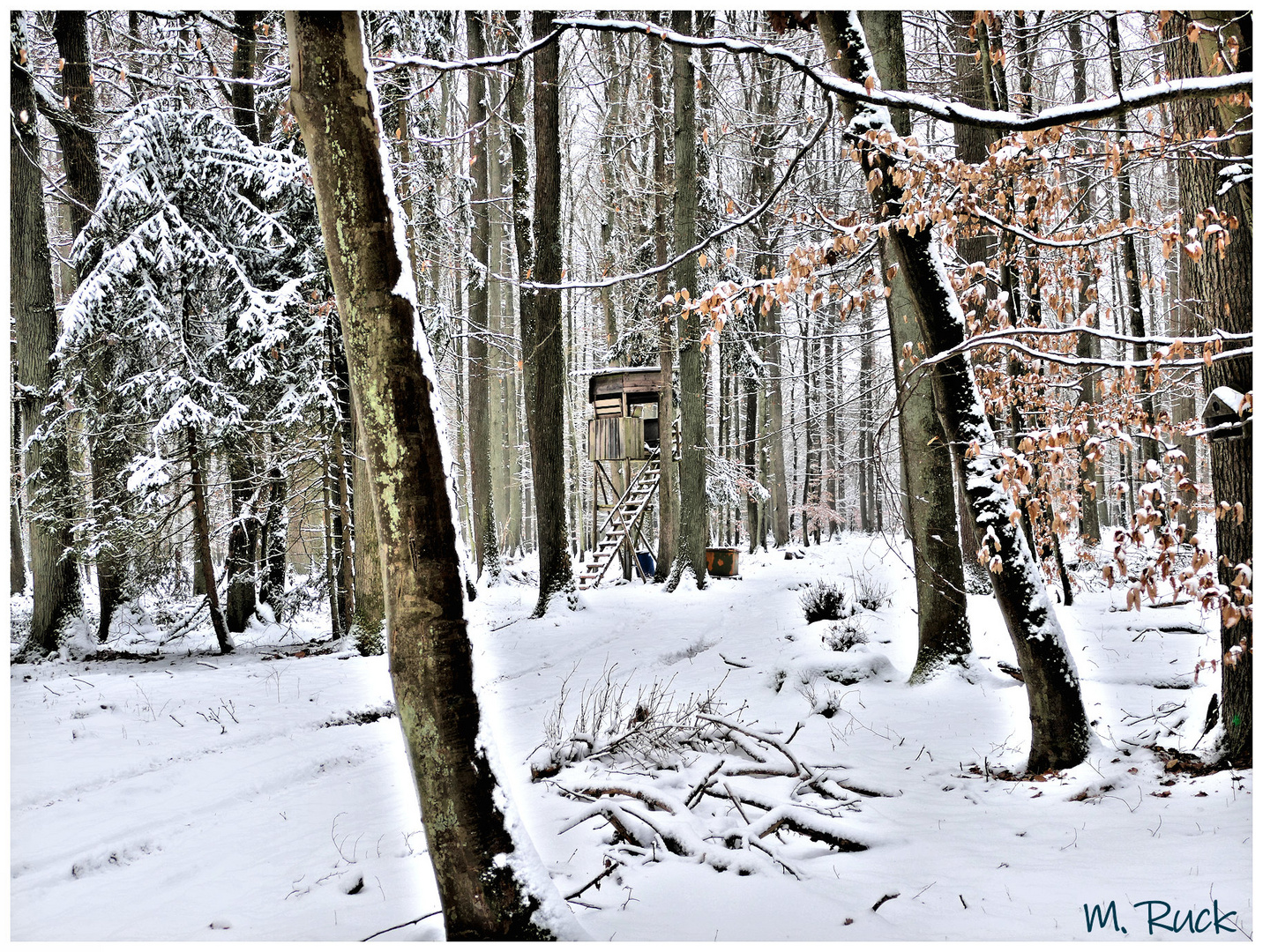 Unterwegs im winterlichen Wald ,