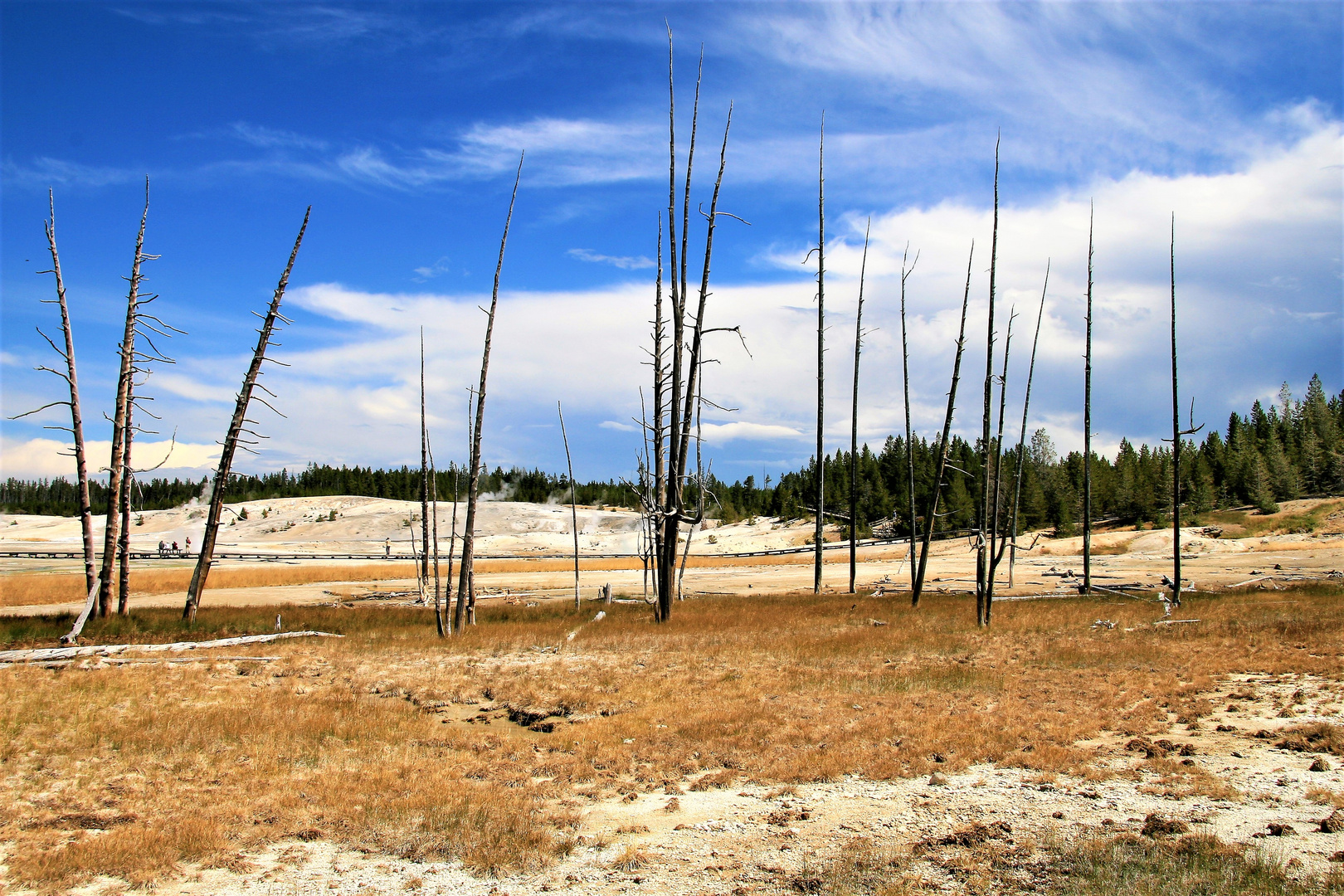 Unterwegs im Yellowstone National Park 2