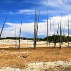 Unterwegs im Yellowstone National Park 2