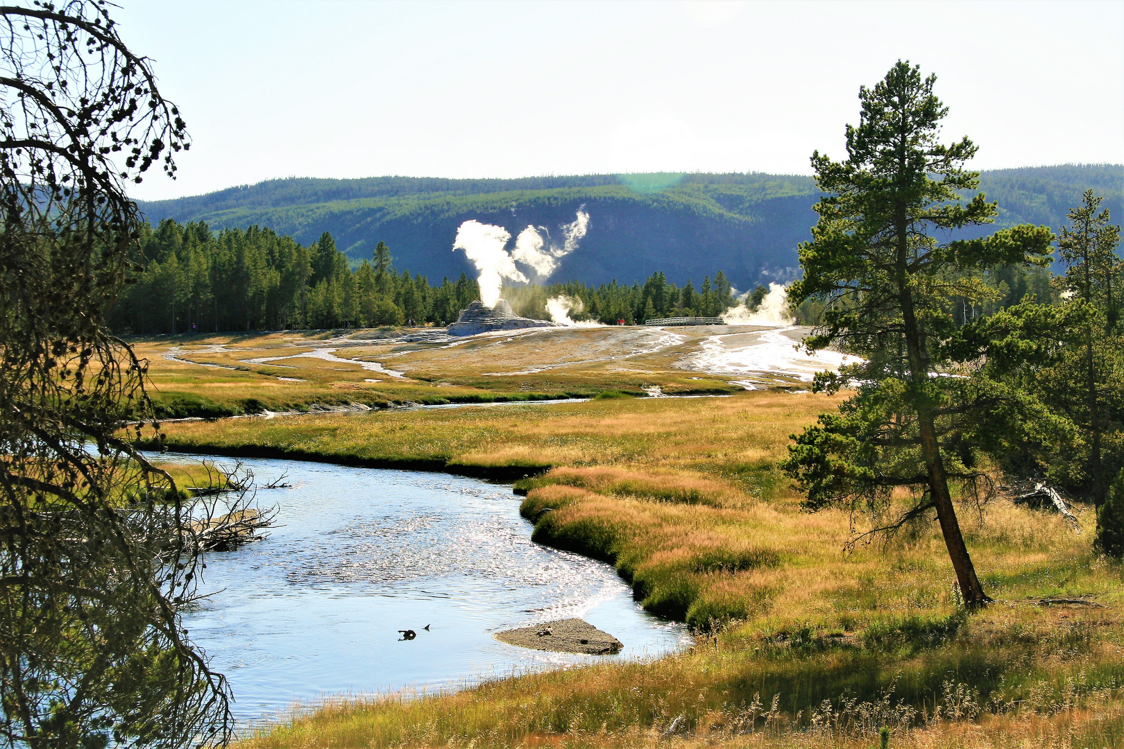 Unterwegs im Yellowstone Nationalpark