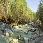 Unterwegs im Zauberwald