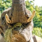 Unterwegs im Zoo Duisburg ( 02 )