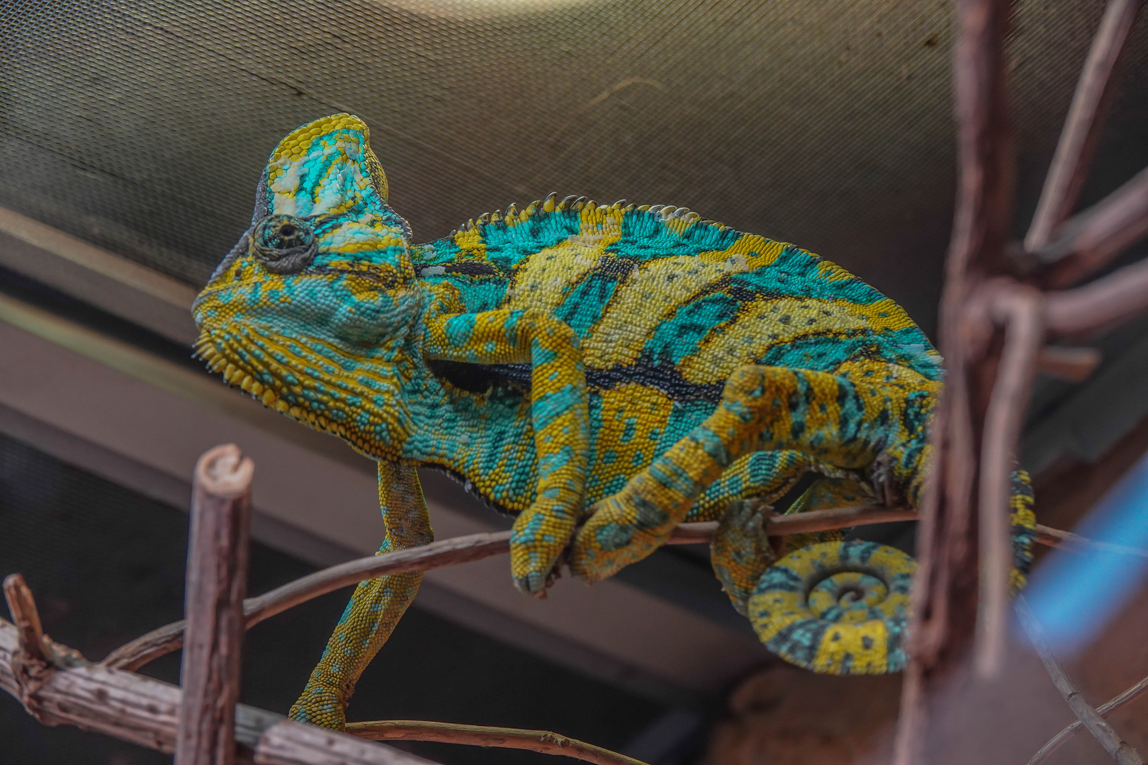 Unterwegs im Zoo Duisburg ( 04 )