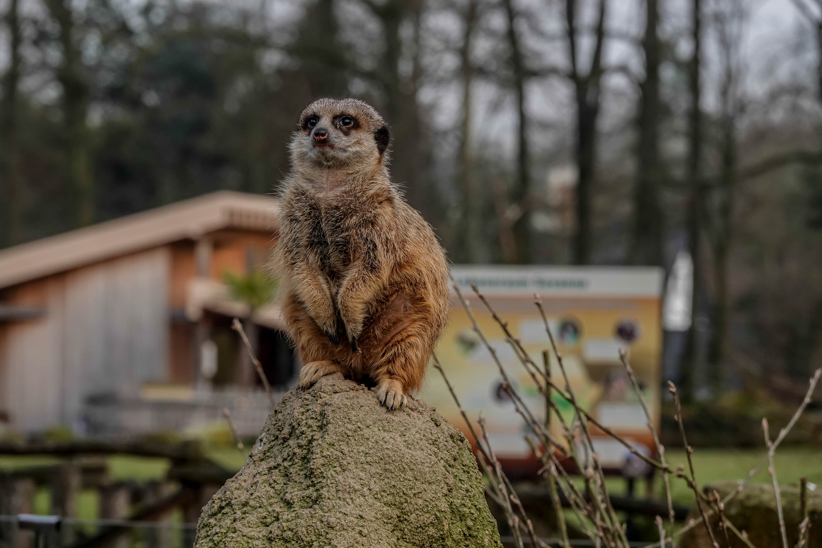 Unterwegs im Zoo Krefeld