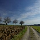 Unterwegs im Zürcher Unterland