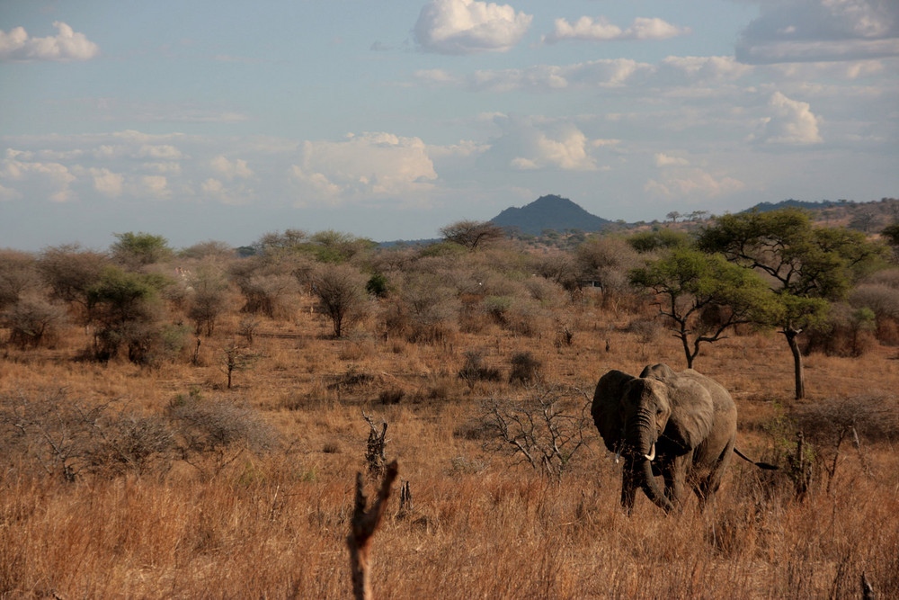 unterwegs in Afrika