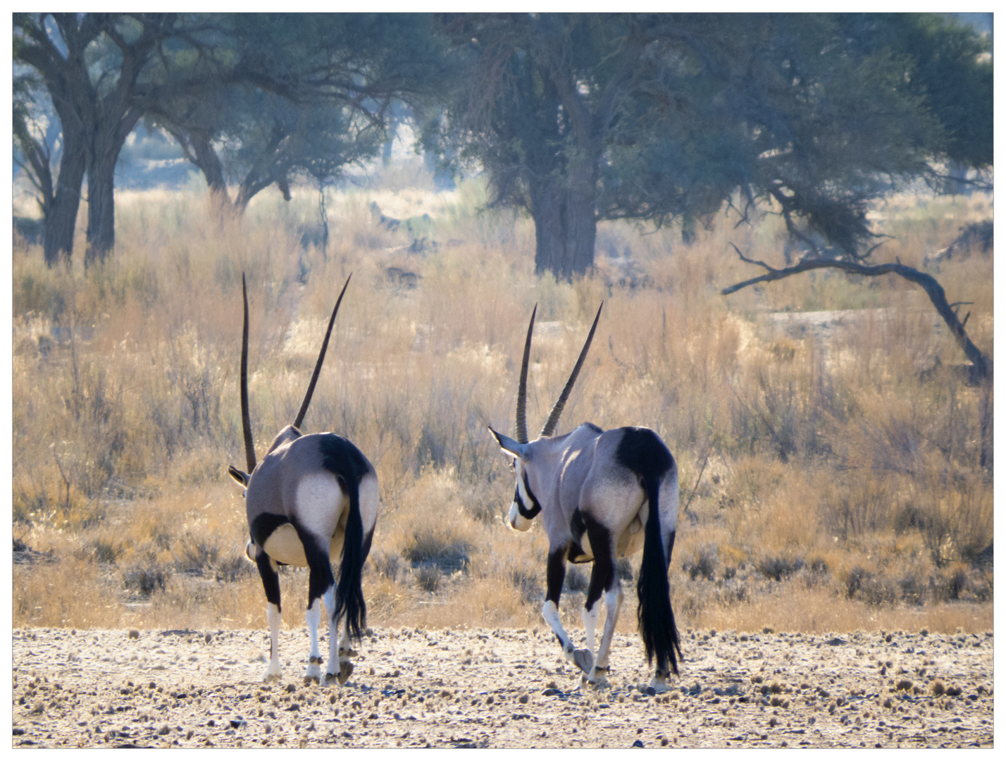 Unterwegs in Afrika