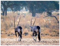 Unterwegs in Afrika