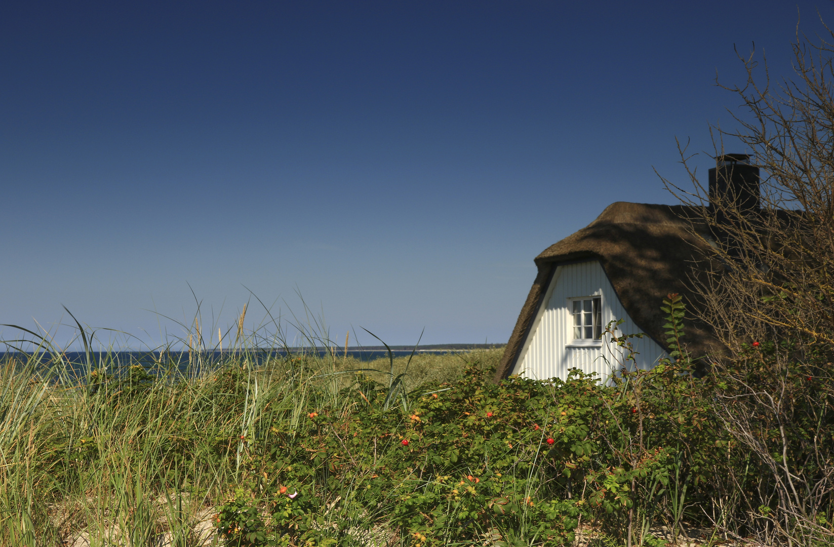 Unterwegs in Ahrenshoop