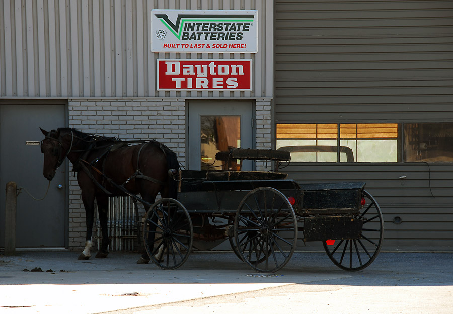 Unterwegs in Amish Country