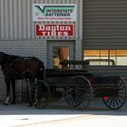 Unterwegs in Amish Country