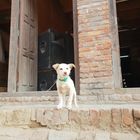 Unterwegs in Bhaktapur, Nepal 