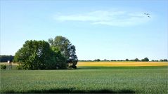 unterwegs in Brandenburg