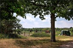 unterwegs in Brandenburg