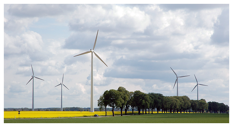 Unterwegs in Brandenburg