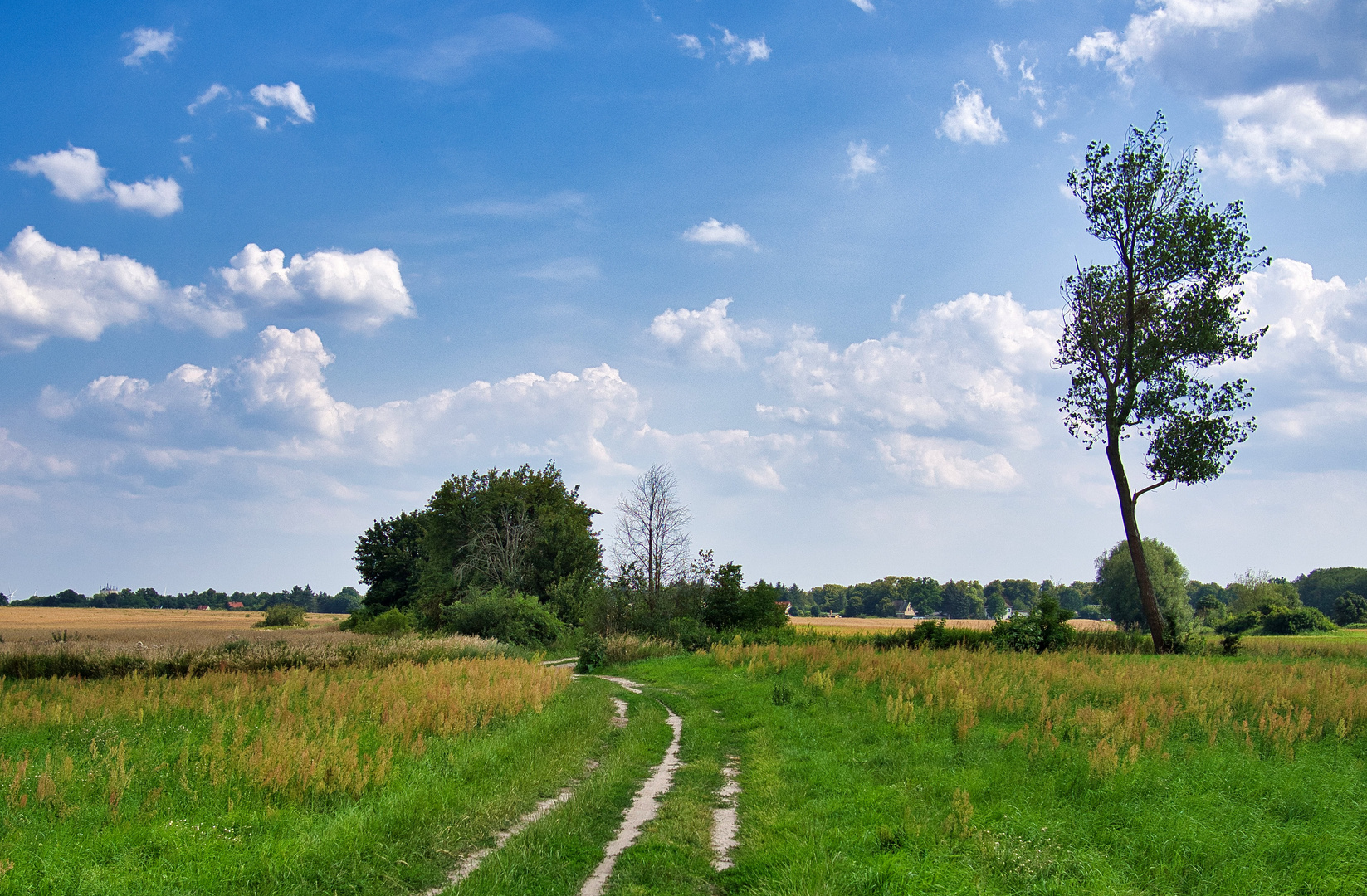 Unterwegs in Brandenburg