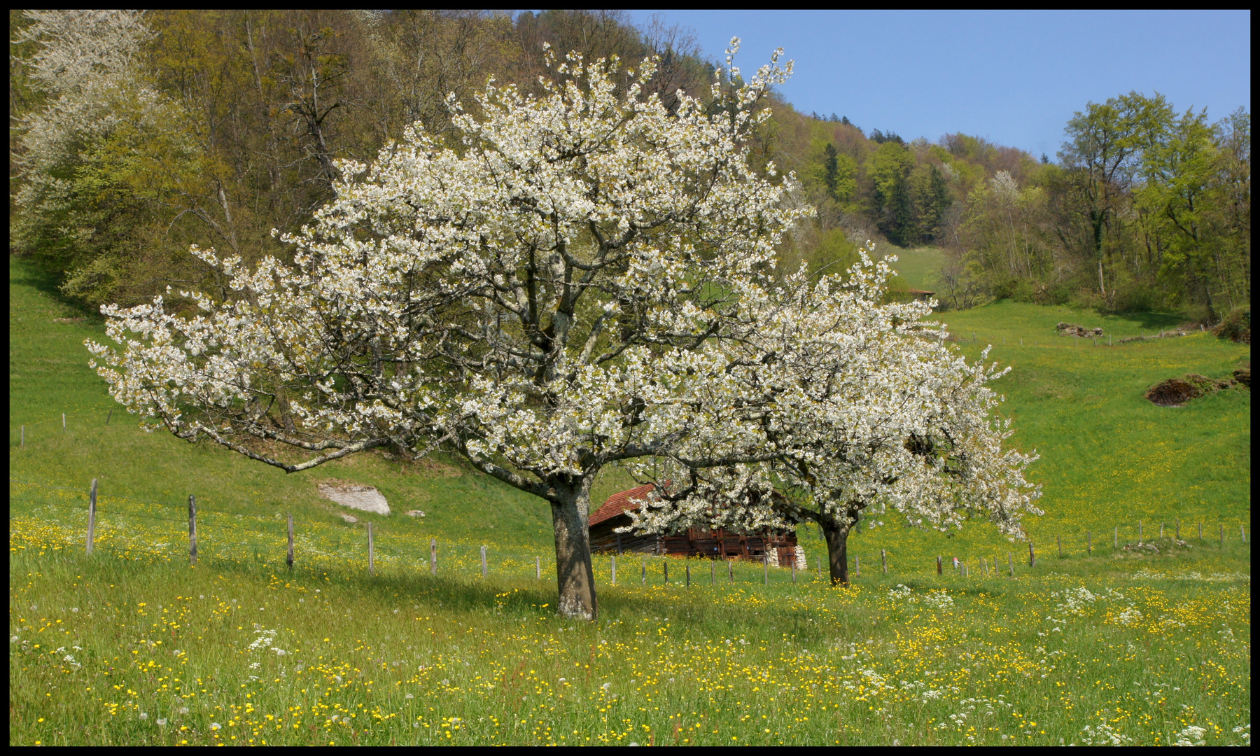 Unterwegs in Brienz