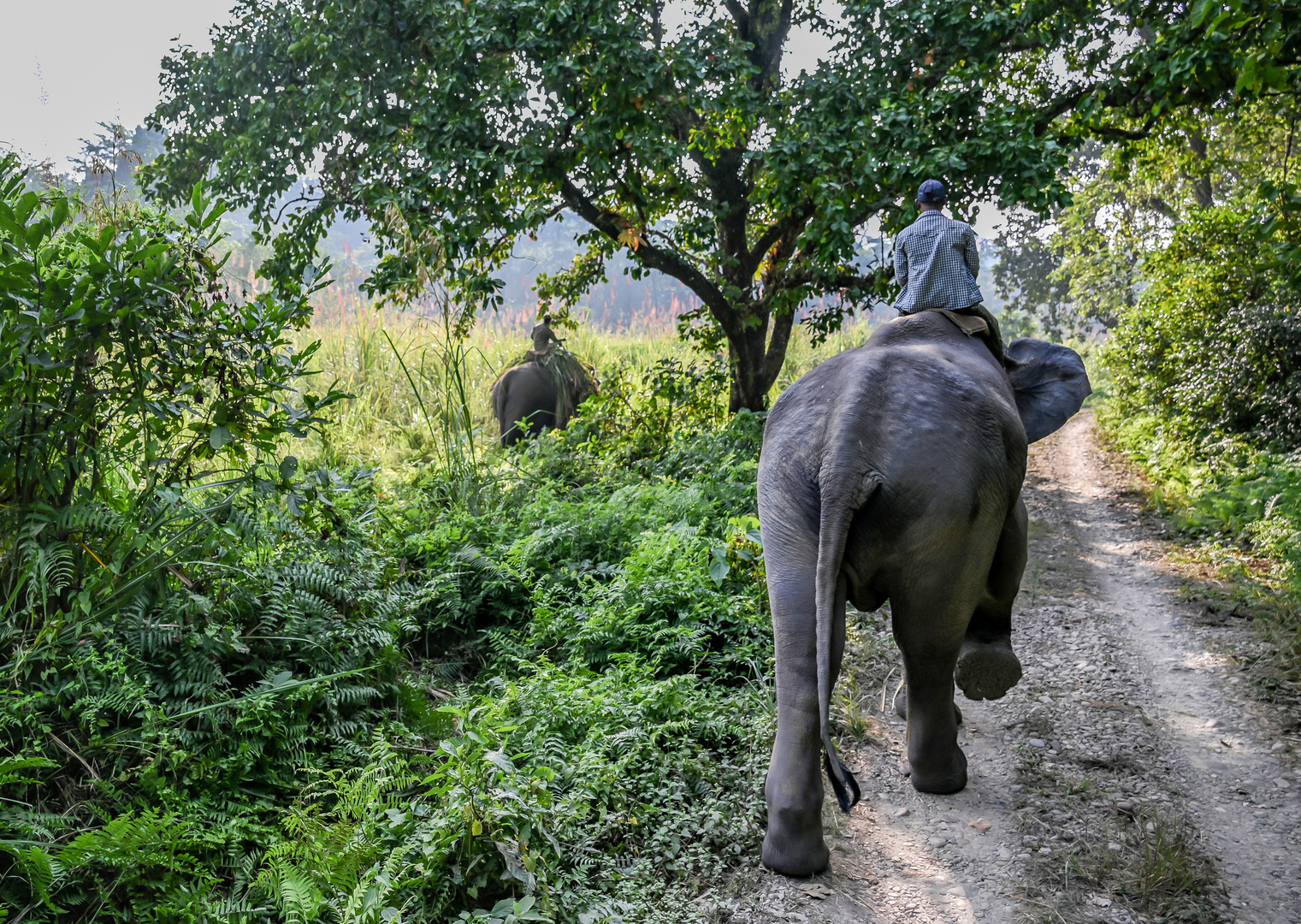 Unterwegs in Chitwan