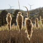 Unterwegs in Dautphetal Holzhausen am Hünstein