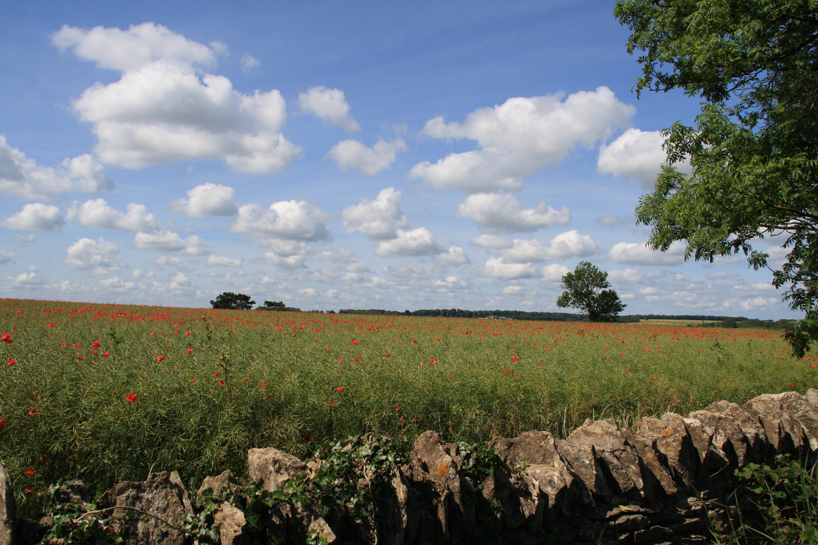 Unterwegs in den Cotswolds