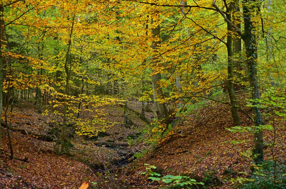 unterwegs in den einsamen Tälern..................