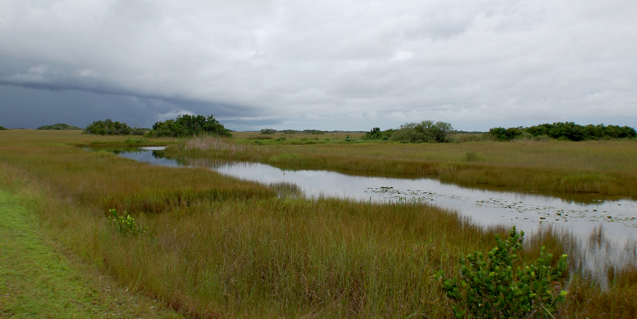 Unterwegs in den Everglades